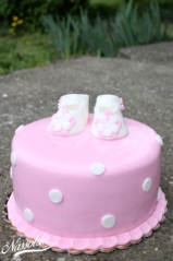 IMG_3742 IMG_3742