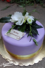 IMG_5242 IMG_5242